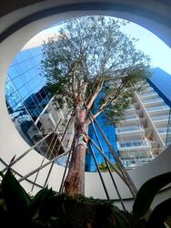 Wilshire Residences (D10), Apartment #522708081